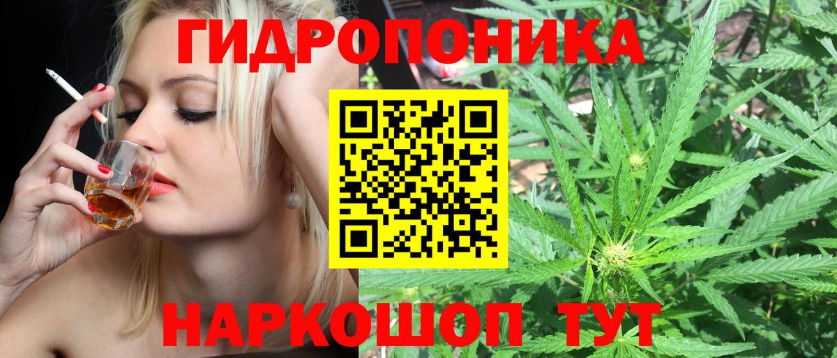 Марихуана THC 21%  Вход с VPN  Элиста  Канабис White Widow  Шишки марихуана THC 21% 
